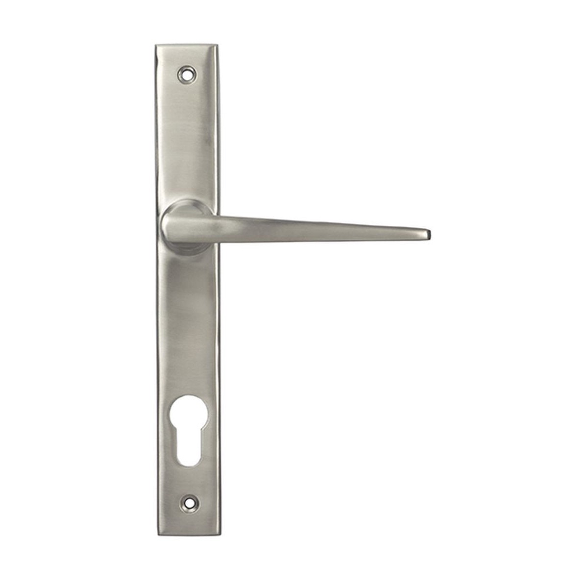 From The Anvil - Satin Marine SS (316) Eaton Slimline Lever Espag. Lock Set