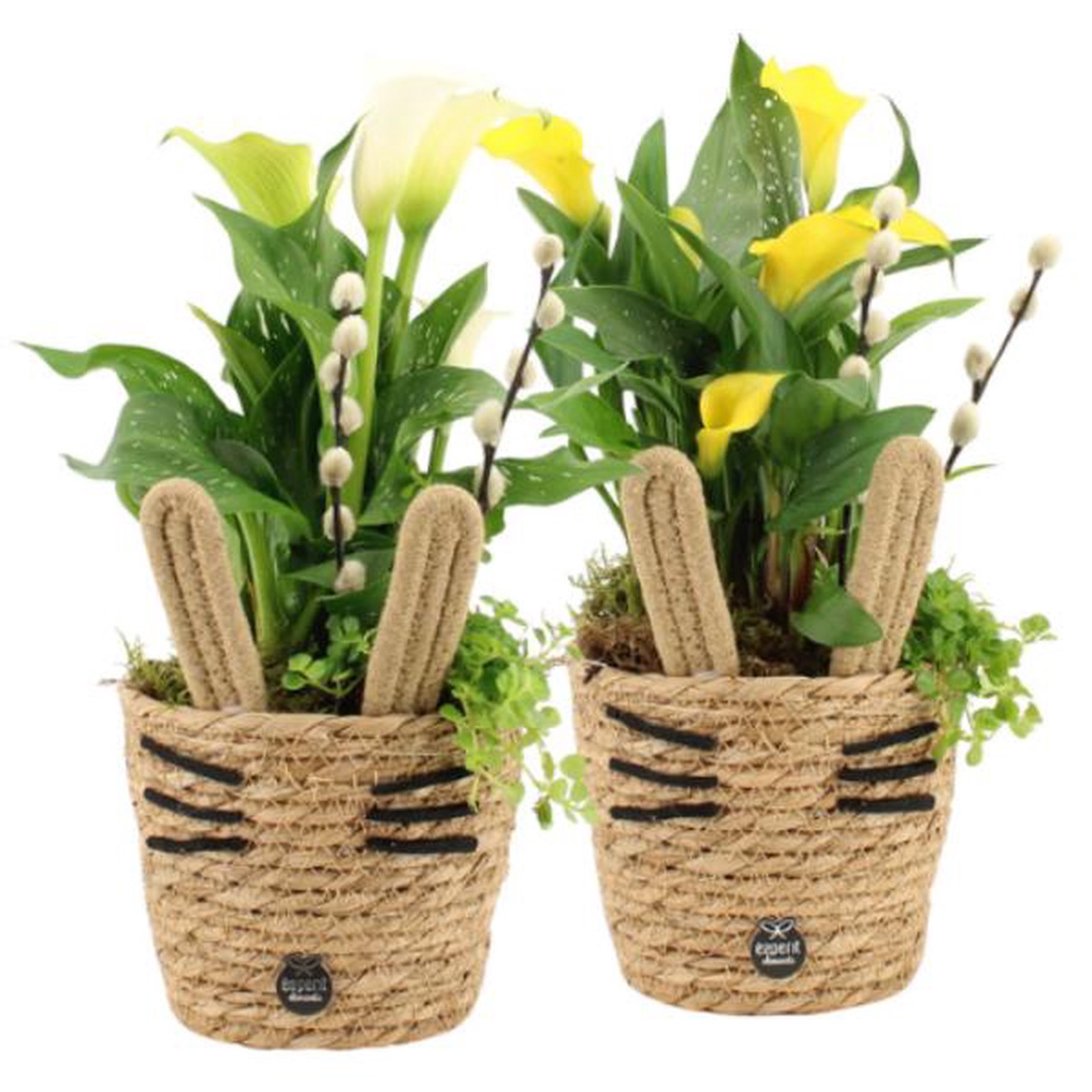 Easter Whiskered Spring Woven Baskets 35cm