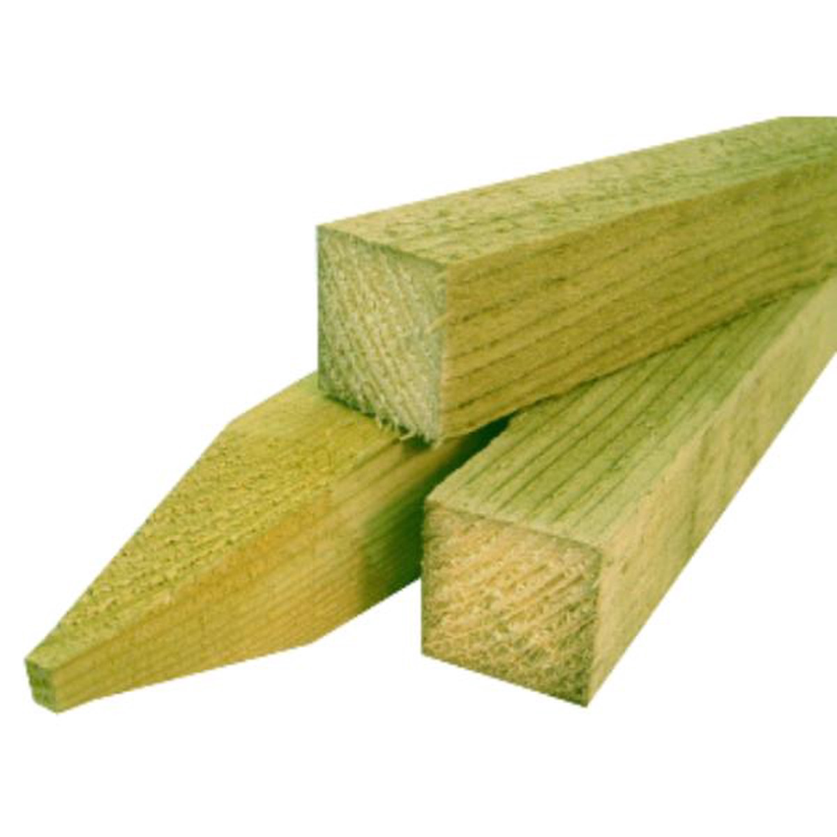 Tree Stakes 50x50x1800mm