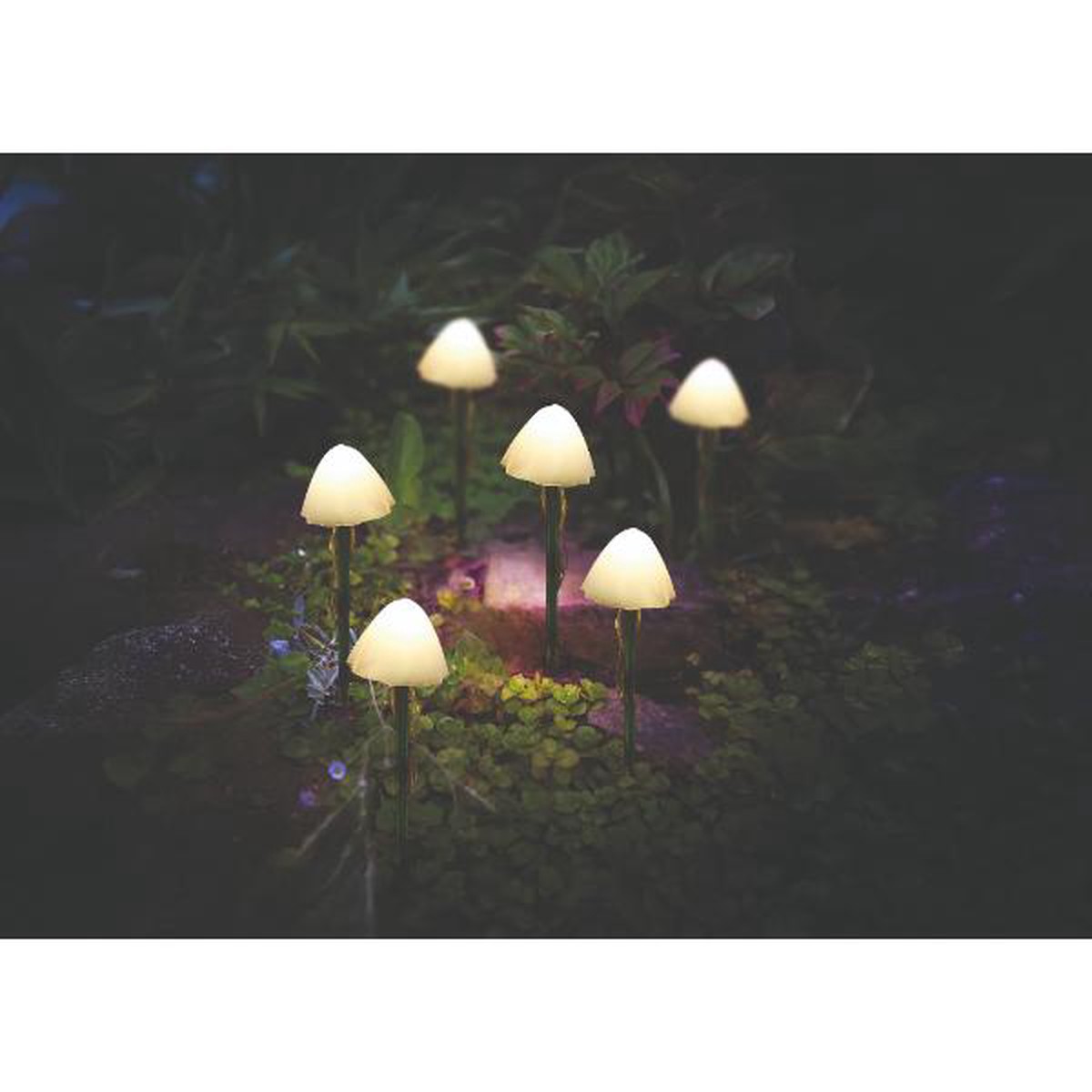Smart Garden LumiShrooms Solar Stake Lights XL - Wired Set of 6