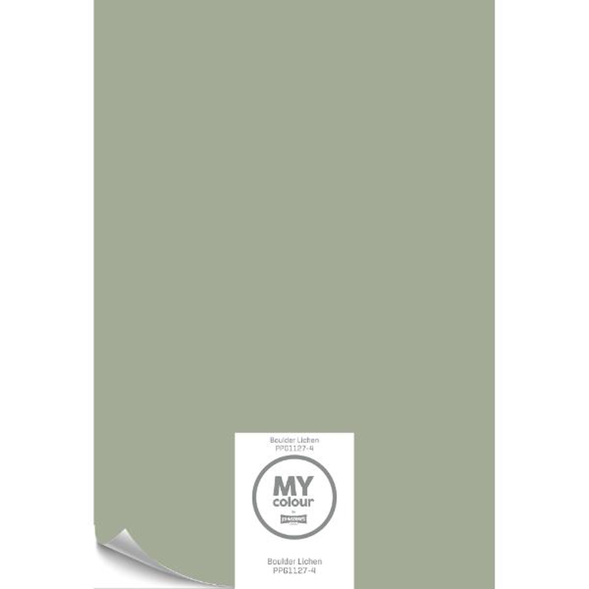 My Colour Peel & Stick Boulder Lichen